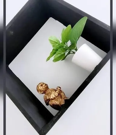 アパート 6 Pers. Equipe